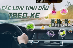 TINH DẦU THIÊN NHIÊN TREO XE Ô TÔ